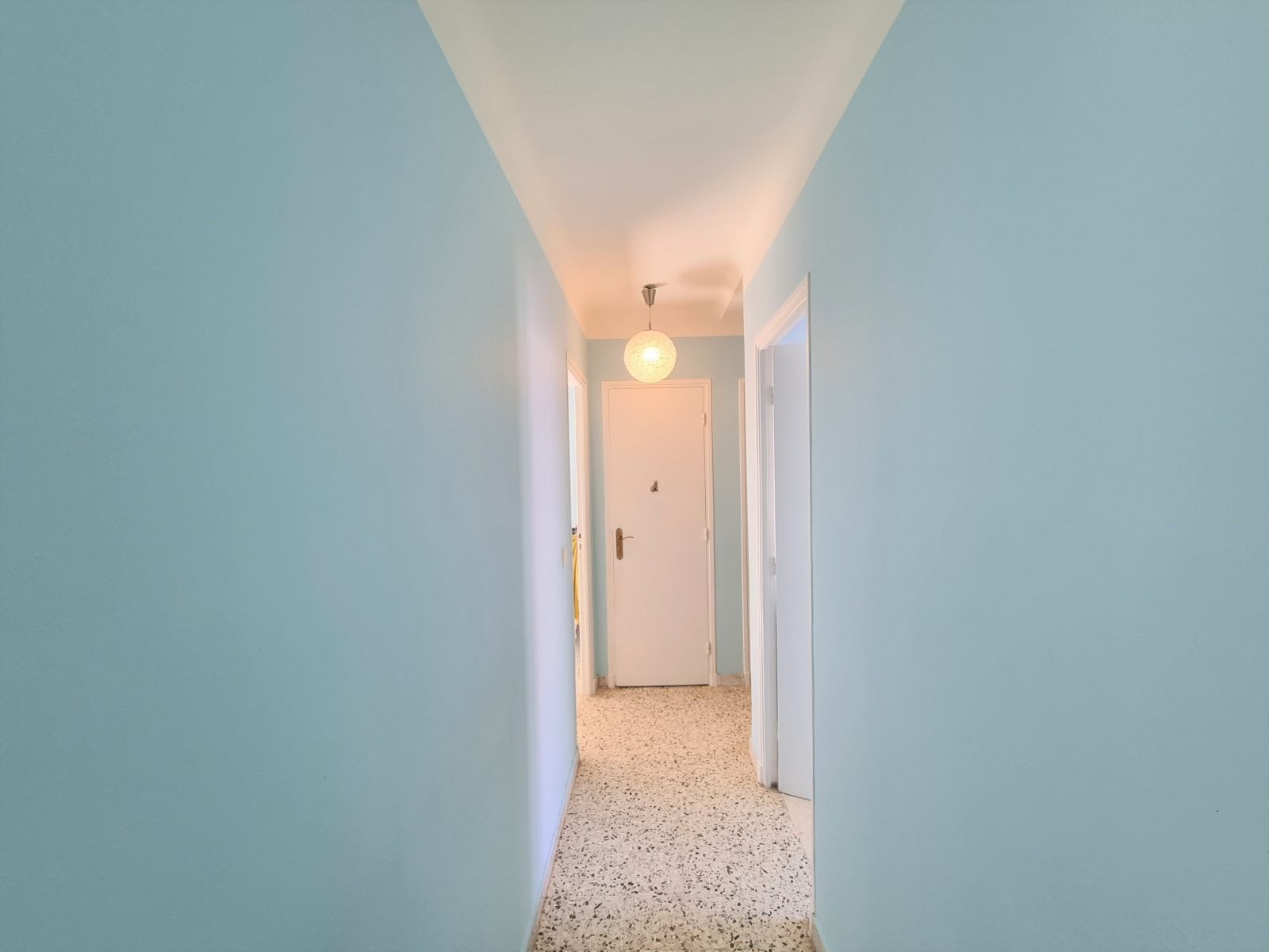 Image_, Appartement, Nice, ref :SAL-4